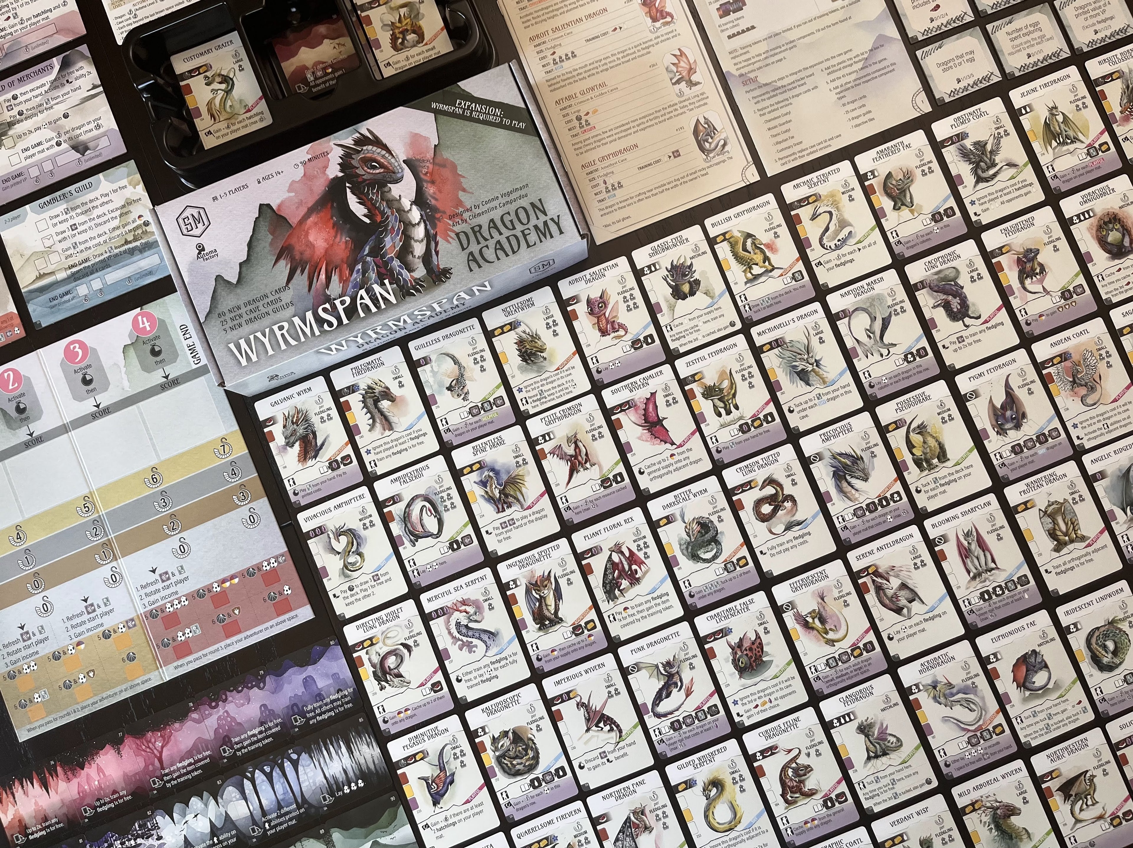 Wyrmspan Dragon Academy expansion flat-lay showing the game box, player board, rulebook, and dozens of illustrated dragon cards spread across a dark surface.